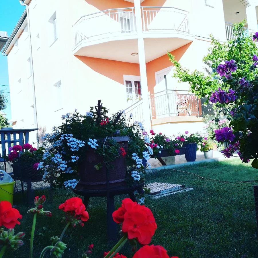 Rooms & Studio Apartmani Flower Bibinje Zewnętrze zdjęcie